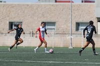 Santos Laguna vs Chivas Guadalajara sub 19