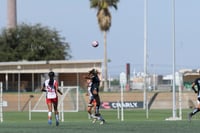 Santos Laguna vs Chivas Guadalajara sub 19