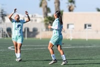 Santos Laguna vs Tijuana femenil sub 19