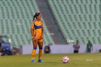 Santos vs Tigres femenil