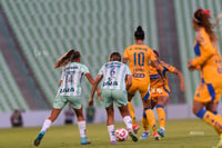 Santos vs Tigres femenil