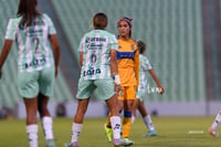 Santos vs Tigres femenil