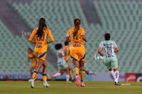 Santos vs Tigres femenil