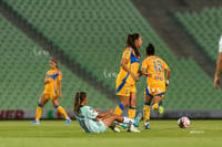 Santos vs Tigres femenil