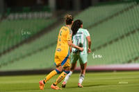 Santos vs Tigres femenil