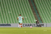 Santos vs Tigres femenil