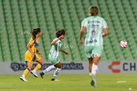 Santos vs Tigres femenil