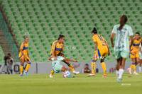 Santos vs Tigres femenil