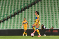 Santos vs Tigres femenil