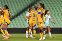 Santos vs Tigres femenil