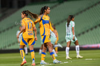 Santos vs Tigres femenil