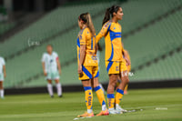 Santos vs Tigres femenil