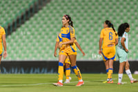 Santos vs Tigres femenil