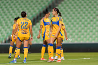 Santos vs Tigres femenil