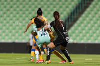 Santos vs Tigres femenil