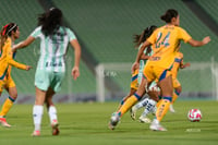 Santos vs Tigres femenil