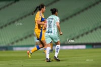 Santos vs Tigres femenil