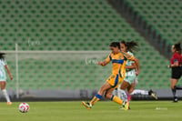 Santos vs Tigres femenil