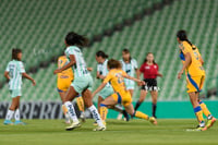 Santos vs Tigres femenil