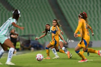 Santos vs Tigres femenil