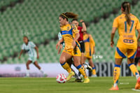 Santos vs Tigres femenil