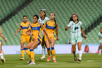 Santos vs Tigres femenil