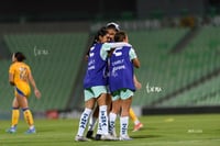 Santos vs Tigres femenil