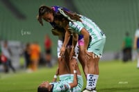 Santos vs Tigres femenil