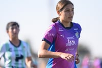 Santos Laguna vs Rayadas Monterrey S19