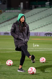 Santos vs Necaxa femenil