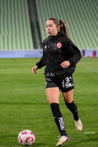 Santos vs Necaxa femenil