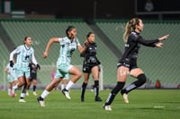 Santos vs Necaxa femenil