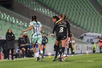 Santos vs Necaxa femenil