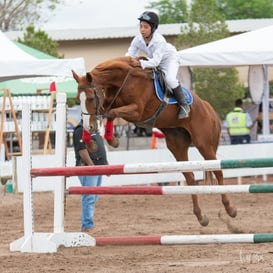 Segunda copa ecuestre Las Brisas @tar.mx