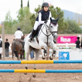 Segunda copa ecuestre Las Brisas @tar.mx