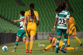 Santos vs Tigres jornada 3 apertura 2019 Liga MX femenil @tar.mx