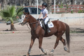 Segundo concurso de salto ecuestre La Barranca @tar.mx