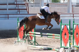 Segundo concurso de salto ecuestre La Barranca @tar.mx