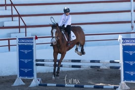 Segundo concurso de salto ecuestre La Barranca @tar.mx