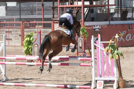 Segundo concurso de salto ecuestre La Barranca @tar.mx