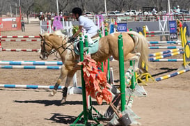 Segundo concurso de salto ecuestre La Barranca @tar.mx