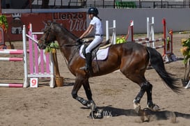 Segundo concurso de salto ecuestre La Barranca @tar.mx