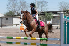 Tercer concurso de Salto 2019 Hípico La Cabaña @tar.mx