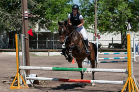 Tercer concurso de Salto 2019 Hípico La Cabaña @tar.mx