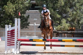 Tercer concurso de Salto 2019 Hípico La Cabaña @tar.mx