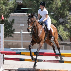 Tercer concurso de Salto 2019 Hípico La Cabaña @tar.mx