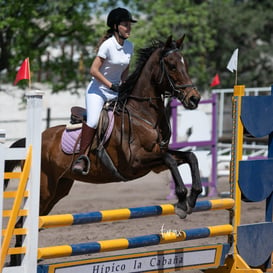 Tercer concurso de Salto 2019 Hípico La Cabaña @tar.mx