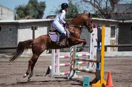 Tercer concurso de Salto 2019 Hípico La Cabaña @tar.mx