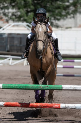 Tercer concurso de Salto 2019 Hípico La Cabaña @tar.mx