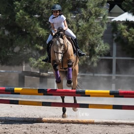 Tercer concurso de Salto 2019 Hípico La Cabaña @tar.mx